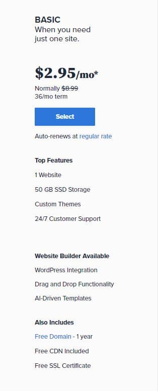 basic plan bluehost